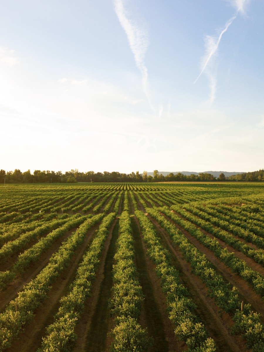 Precision Agriculture